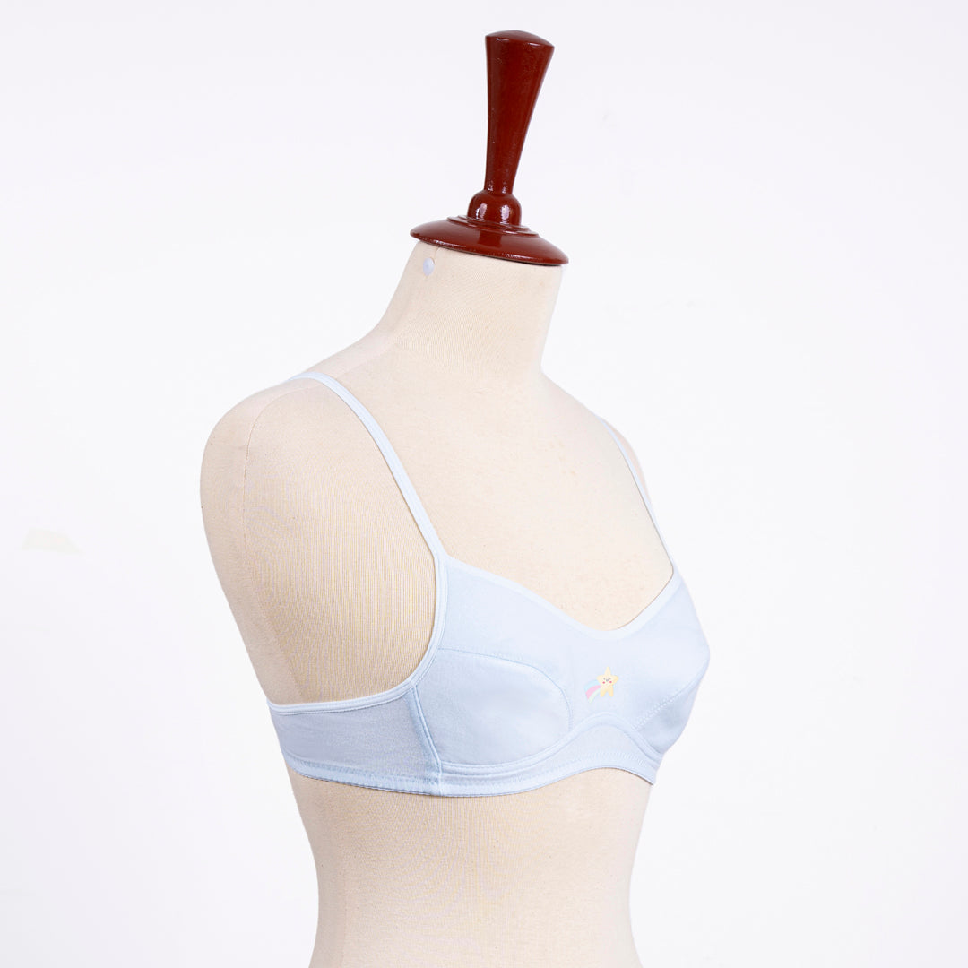 Belleza Lingerie Basic Bra - 1013