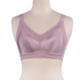 Belleza Lingerie Non Wire Padded Bra - 509