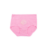 Classic Brief Panty 5309