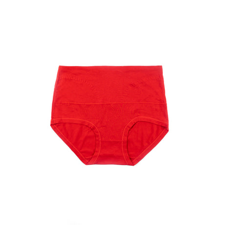 Control Brief Panty 6501