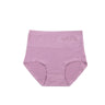 Control Brief Panty 6509