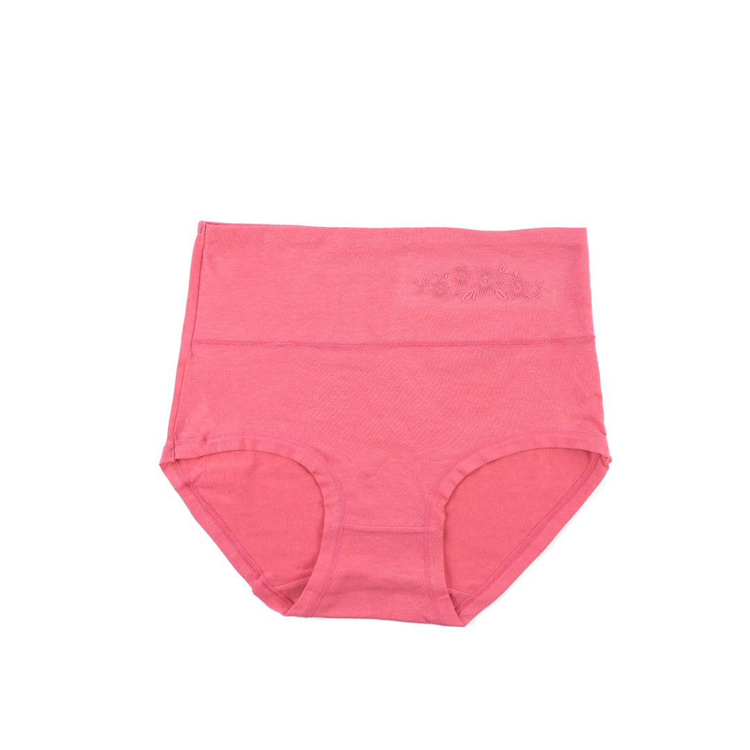 Control Brief Panty 6509