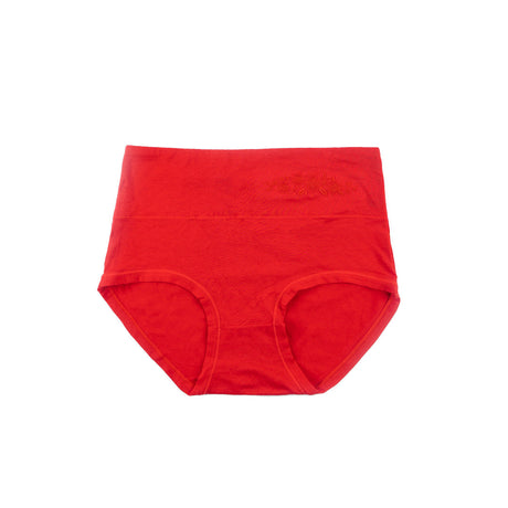 Control Brief Panty 6509