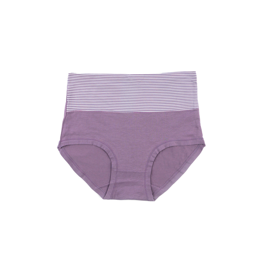 Control Brief Panty 6510