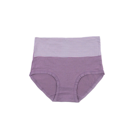 Control Brief Panty 6510