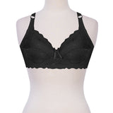 Net Lace Bra - B016