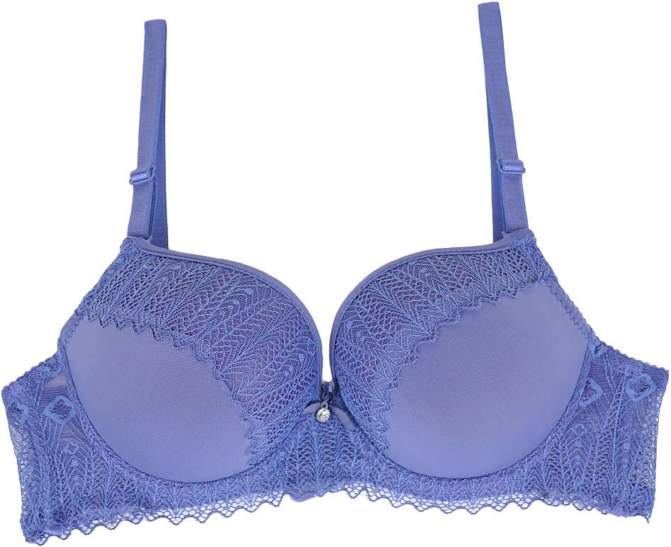 Belleza Lingerie Push Up Bra Cd088